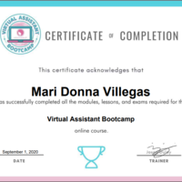 Virtual Assistant Certificate