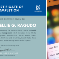 Social Media Management