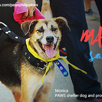 Facebook Cover Photo