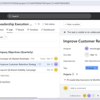 Asana project with tasks, subtasks, and timeline.
