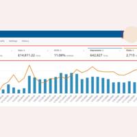 My Client Amazon ppc results