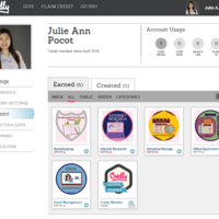 Credly Badges earned - Online Internship