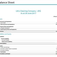 Xero Balance Sheet