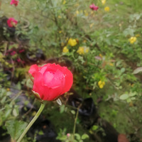 Feel the nature (outdoor photography)