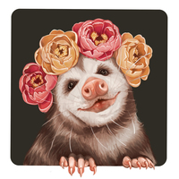 Opossum Illustration 