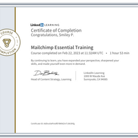 Portfolio Thumbnail 20