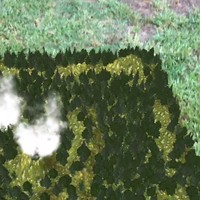 Forest fire & helicompter