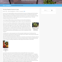 Portolio 6- WordPress post