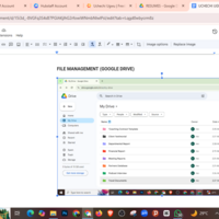 File Organization and Documentation