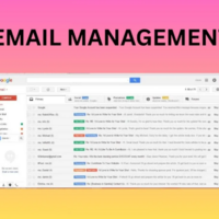 I provided a comprehensive email management service