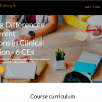 Online Course Screen