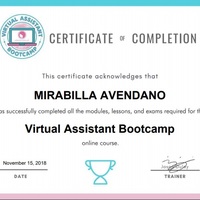 Virtual Assistant Certificate