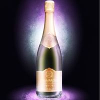 Portfolio Thumbnail 9