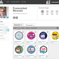 Credly Learning Badges