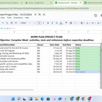 Project Work Plan