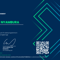 Virtual Assistant Program Certificate 