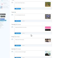 Social Media Management