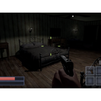 First Person Shooter