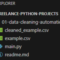 Folder View:  Data Cleaning Project Files