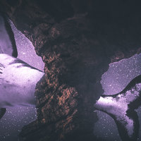 Portfolio Thumbnail 0