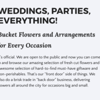Web copy for Willem + Jools