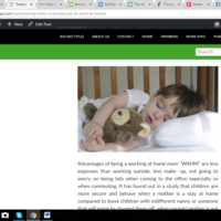 Portfolio Thumbnail 3