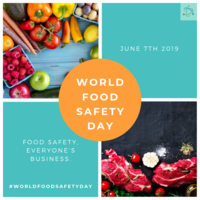 Portfolio Thumbnail 9