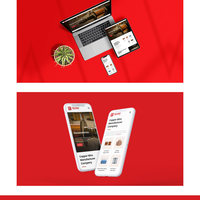 Triveni Conductors Website Design & Development