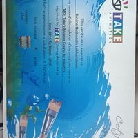 Diploma in Animation Certificate 