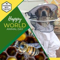 Portfolio Thumbnail 13