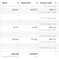 Lead Generation Ad a e