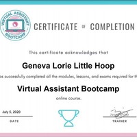 VA ONLINE COURSE CERTIFICATE