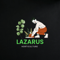 Portfolio Thumbnail 32