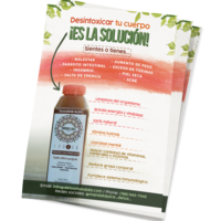 Flyer design for Mandala Juice Detox