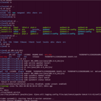 TomCat Apache service running test