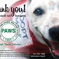 Business card layout