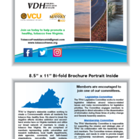 Bifold Brochure for Tobacco Free Alliance of VA