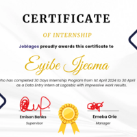 Data Entry Internship 