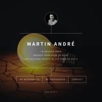 Portfolio website
