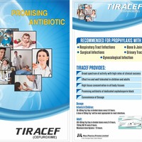 Portfolio Thumbnail 4