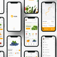 Flok- A groceries delivery app