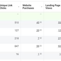 Facebook Ad Results - 1 Month