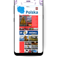 Web design & development 
