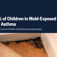 Dynamic News Portal – SmartNews001