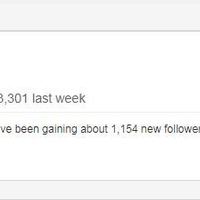 Portfolio Thumbnail 4