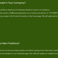 Screenshot of Website Content