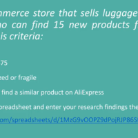 Ecommerce Shopify Management