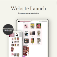 Website Design {Elemetor}