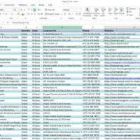 Real Estate Leads