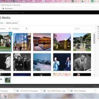 WordPress job Uploading of articles